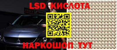 Альфа ПВП Новодвинск