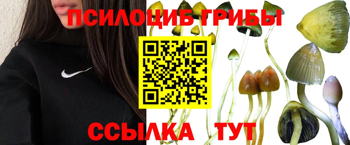 Галлюциногенные грибы Psilocybe Реж