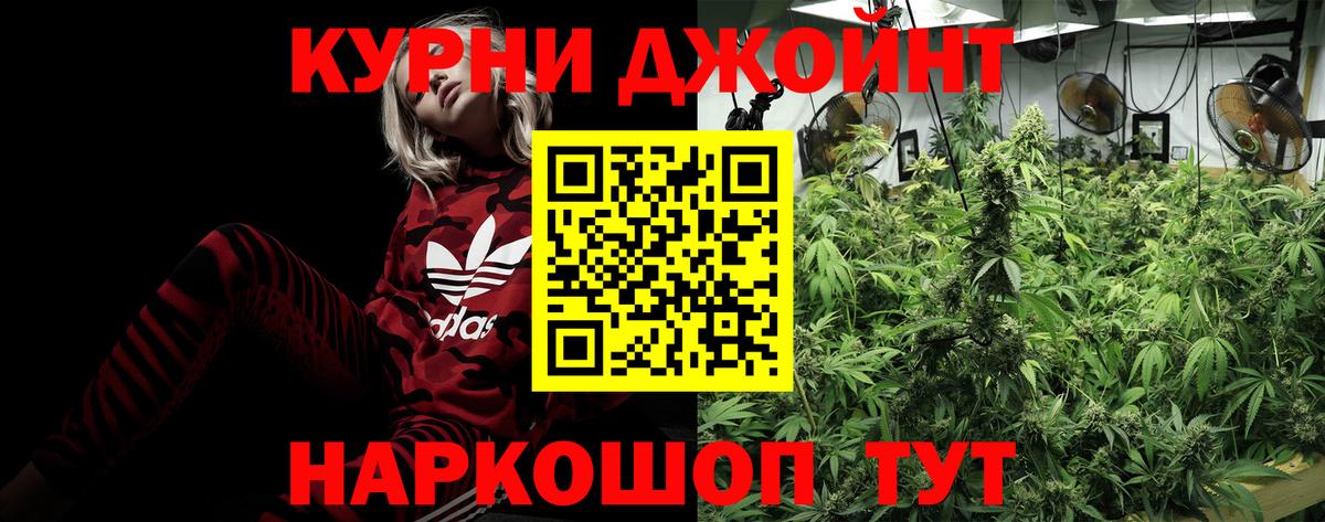 Бошки Шишки гибрид  Вход с VPN  Реж  Бошки Шишки гибрид  Бошки Шишки OG Kush 